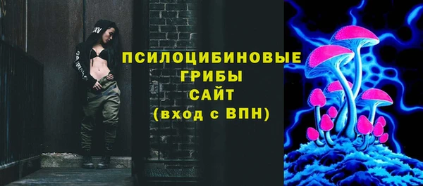 гидра Киренск