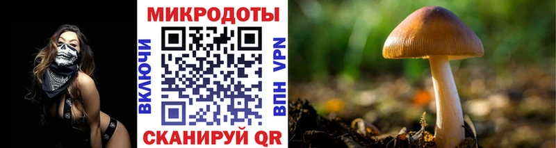 Псилоцибиновые грибы прущие грибы  Купино 